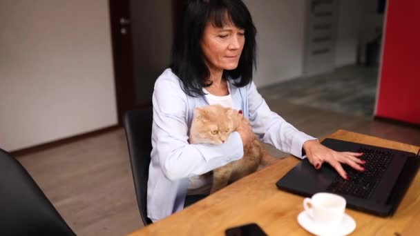 Senior woman is working on a notebook, laptop and holding cat — Stock Video