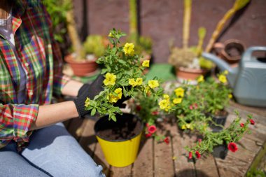Çiçek saksısı aletleriyle bahçıvan yetiştiriyor. Kadın, evdeki, dışarıdaki yaz bahçesine çiçek ekiyor. Bahçe işleri ve çiçekler..