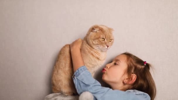 Happy Cute Little Girl Play Her Cat Home Love Pets — 图库视频影像