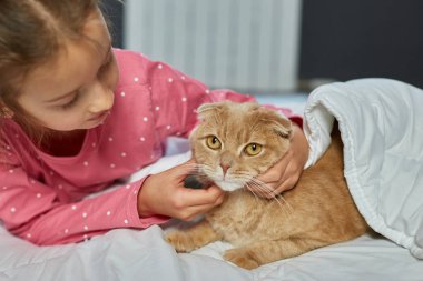 Tatlı zencefilli kedi ve küçük kız yatakta yumuşak bir battaniyeye uzanıyor, çocuk sevdalısı hayvanlar, kedi uykusu, rahat bir ev ve rahatlama konsepti, sabah yatma zamanı..