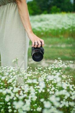 Çiçek tarlası manzarasında elinde kamera tutan kadın fotoğrafçı, tanınmayan bir kadın elinde dijital kamera tutuyor. Gezgin doğa fotoğrafçılığı, metin için boşluk.
