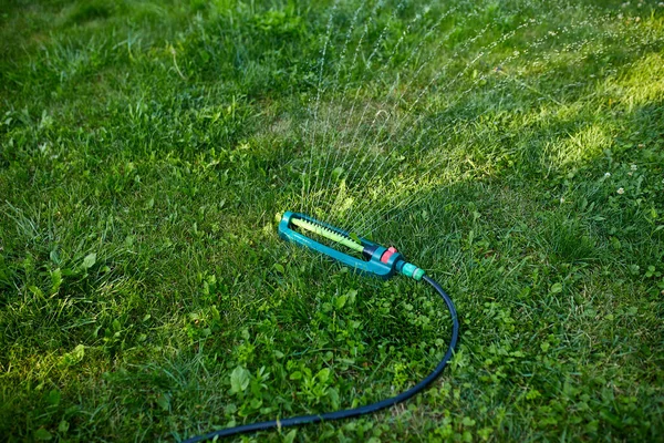 Aspersor Jardín Oscilante Rociando Agua Sobre Hierba Verde Patio Casa —  Fotos de Stock