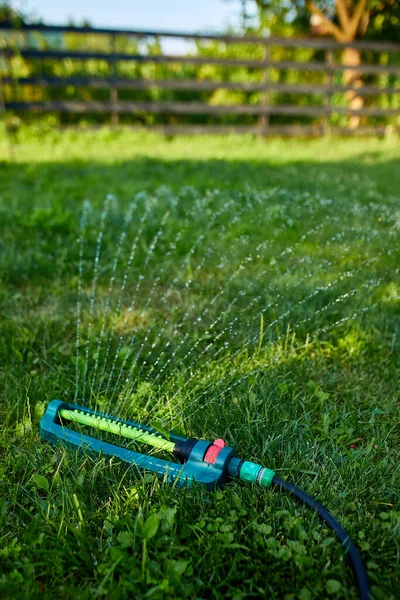 Aspersor Jardín Oscilante Rociando Agua Sobre Hierba Verde Patio Casa —  Fotos de Stock