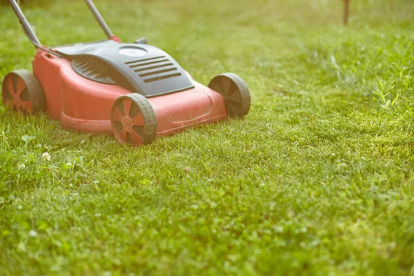 Rasenmäher Mäht Den Rasen Heimischen Garten Arbeit Sonnenlicht Tolles Design — Stockfoto