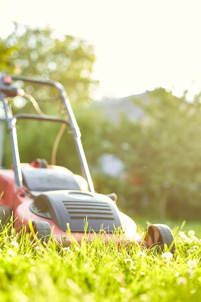 Rasenmäher Mäht Den Rasen Heimischen Garten Arbeit Sonnenlicht Tolles Design lizenzfreie Stockfotos