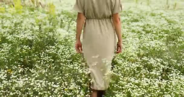 Mujer en vestido caminando en flor pradera floreciente, en el campo — Vídeo de stock