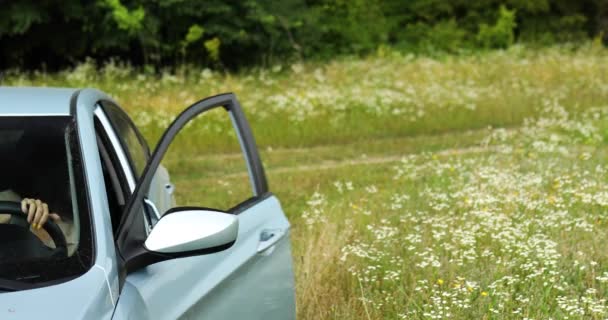 Mulher sai do carro olhando ao redor e andando no campo de flores, prado — Vídeo de Stock