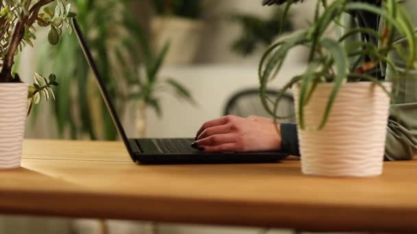 Floristin Mit Topfpflanze Arbeitet Einem Laptop Blumengeschäft Werkstatt Verkauft Blumengeschäft — Stockvideo