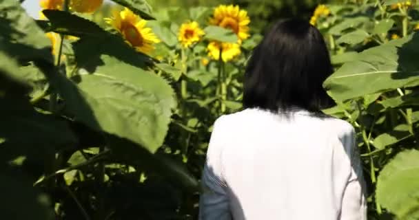 Woman Farmer Agronomist Checking Quality Harvest Walk Field Organic Sunflowers — Stockvideo