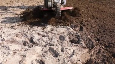 Bahçe işlerinde Bahçe Tiller ile çalışan kıdemli çiftçi. Bahçe dümeni, çiftçi. Baharda traktör tarlası olan bir adam. Modern tarım, teknoloji tarımı.