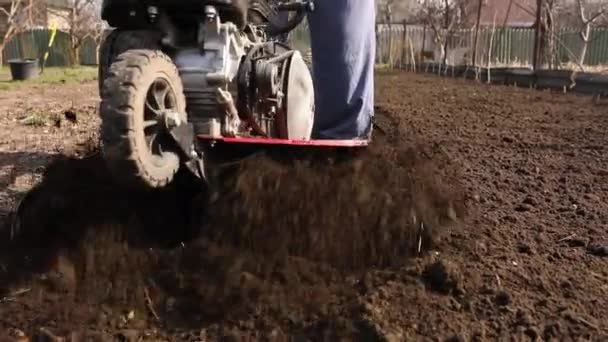 Senior Man Farmer Care Lucrează Plugurile Grădină Garden Tiller Tiller — Videoclip de stoc