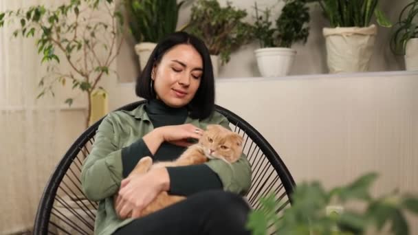 可愛い生姜猫を抱いた椅子に座っている女 かわいい長髪猫を抱いている女 緑の家で猫と遊ぶ 家庭菜園の概念 バイオフィリアデザイン — ストック動画