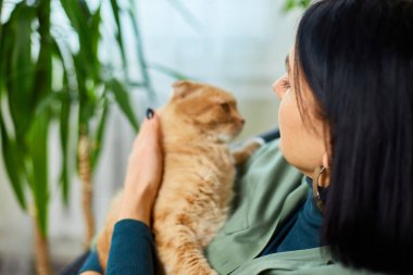 Koltuğunda oturan bir kadın sevimli kızıl kediyi tutuyor, uzun saçlı kediciğine sarılıyor, yeşil evdeki kediyle oynuyor, ev bahçesi kavramı, biyofili tasarımı....