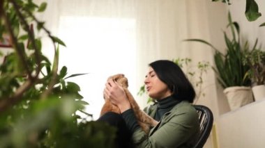 Koltuğunda oturan bir kadın sevimli kızıl kediyi tutuyor, uzun saçlı kediciğine sarılıyor, yeşil evdeki kediyle oynuyor, ev bahçesi kavramı, biyofili tasarımı....