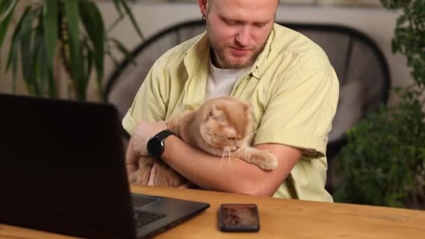 Uomo Sta Lavorando Notebook Nero Laptop Gatto Sta Posando Nella — Video Stock