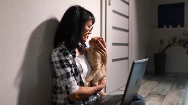 여성은 노트북 고양이를 일하고 집에서 일하고 머물러 프리랜서 일한다 집에서 — 비디오