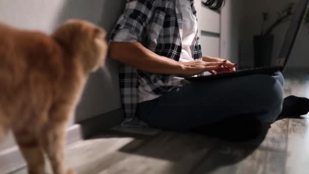 成熟女人 在笔记本电脑上搜索兽医网站 为猫进行兽医咨询登记 自由撰稿人 杂志上的女性打字坐在家里的地板上 在家工作 — 图库视频影像