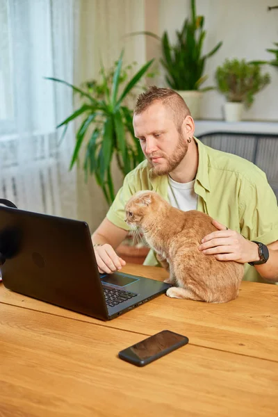 Man is working on a black notebook, laptop and cat is laying in his hand, Work from home, Freelancer remote working at home, green house, workplace at home.
