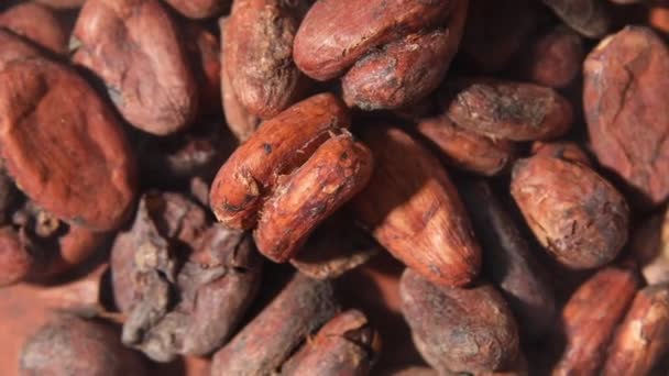 Rotatie macro ongepelde cacaoboon, bovenaanzicht — Stockvideo