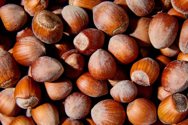 Flat Lay Macro Fresh Hazelnut Plowing Top View Close Texture — 스톡 사진