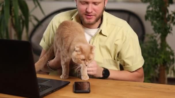 Mężczyzna Pracuje Nad Czarnym Notebookiem Laptopem Kotem Ręku Praca Domu — Wideo stockowe