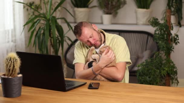 Man Arbetar Svart Anteckningsbok Laptop Och Katt Ligger Handen Arbete — Stockvideo