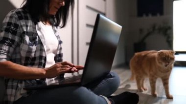 Veterinerlik danışmanlığı için kedi kaydetmek için dizüstü bilgisayarında veteriner arayan olgun bir kadın dizüstü bilgisayarda evde oturmuş, evde çalışıyor..