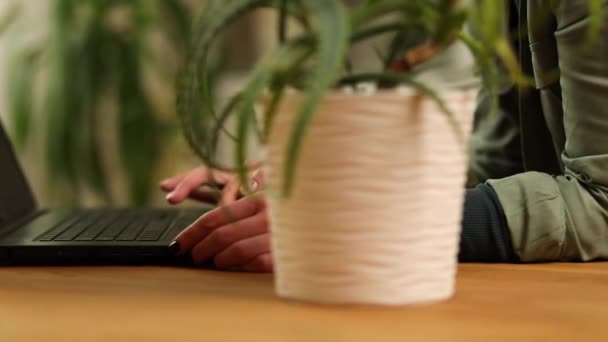 Frau blättert in Informationen über Zimmerpflanze, Frau nutzt Laptop — Stockvideo