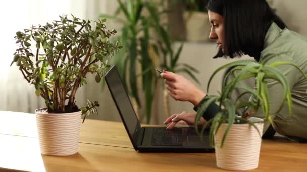 Woman with potted plant using laptop hold in hand credit card making online shopping — Stock Video
