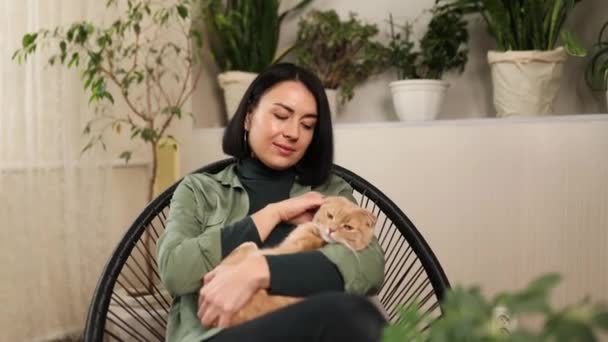 Koltuğunda oturan bir kadın Sevimli kızıl bir kedi tutuyor, — Stok video