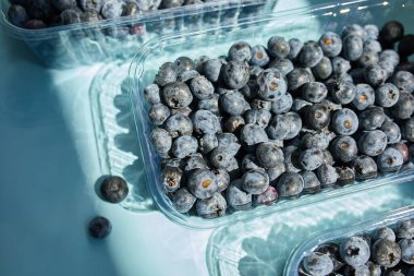 Mavi arka planda bir kutuda taze organik yaban mersinleri yatıyordu. Sert güneş ışığı, üst manzara, kopyalama alanı. Sağlıklı beslenme, antioksidan, vitamin, yaz yemeği kavramı.