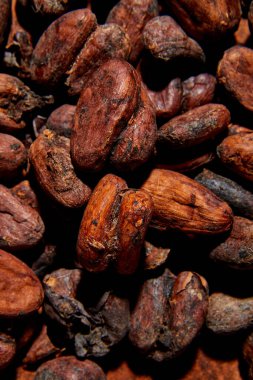 Düz uzanmış makro kabuksuz kakao çekirdeği, üst görünüm, tüm hindistan cevizi tohumu dokusu kaplama arka plan