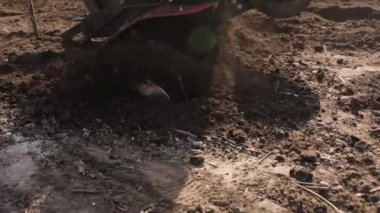 Bahçe işlerinde Bahçe Tiller ile çalışan kıdemli çiftçi. Bahçe dümeni, çiftçi. Baharda traktör tarlası olan bir adam. Modern tarım, teknoloji tarımı.