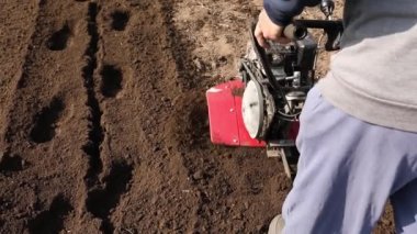 Bahçe işlerinde Bahçe Tiller ile çalışan kıdemli çiftçi. Bahçe dümeni, çiftçi. Baharda traktör tarlası olan bir adam. Modern tarım, teknoloji tarımı.