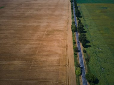 Buğday hasadının insansız hava görüntüsü, buğday tarlası geçmişi güneş günü, yaz, tarım
