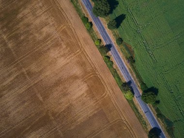 Buğday hasadının insansız hava görüntüsü, buğday tarlası geçmişi güneş günü, yaz, tarım