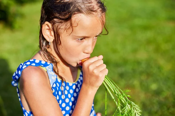 Genç bir kız ailesinin bahçesinden topladığı havucu tutar ve yer. Ev yapımı organik sebzeler.