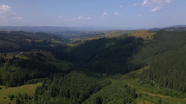 Αεροφωτογραφία Του Όμορφου Βουνού Και Του Δάσους Την Άνοιξη Καρπάθια — Αρχείο Βίντεο