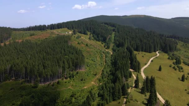 Veduta Aerea Della Bella Montagna Foresta Primavera Carpazi Ucraina Paesaggio — Video Stock