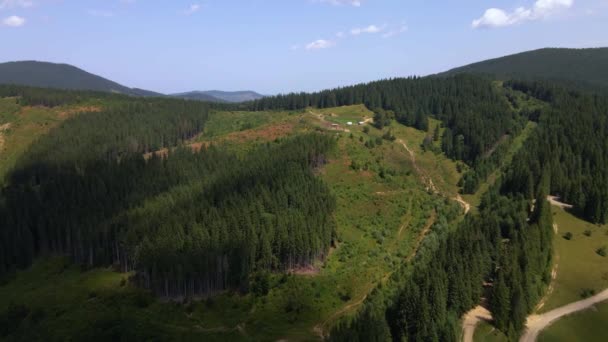 Aerial View Beautiful Mountain Forest Spring Carpathian Mountains Ukraine Colorful — Video