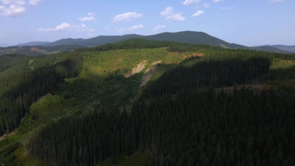 Αεροφωτογραφία Του Όμορφου Βουνού Και Του Δάσους Την Άνοιξη Καρπάθια — Αρχείο Βίντεο