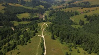 İlkbaharda güzel dağ ve ormanın havadan görünüşü, Karpat dağları, Ukrayna, yeşil çimen ve ağaçlı tepeli renkli manzara, doğa arka planı.