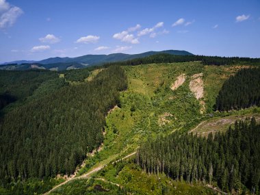 Baharda dağ toprak yolu ve ormanın havadan görünüşü, Karpat dağları, Ukrayna, yeşil çimenler ve ağaçlarla kaplı tepeli renkli manzara, doğa arka planı.