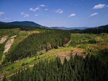 Baharda dağ toprak yolu ve ormanın havadan görünüşü, Karpat dağları, Ukrayna, yeşil çimenler ve ağaçlarla kaplı tepeli renkli manzara, doğa arka planı.
