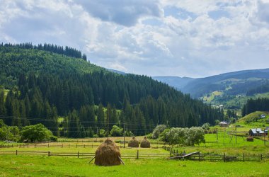 İlkbaharda güzel dağ ve orman, Karpat dağları, Ukrayna, yeşil çimen ve ağaçlı tepeli renkli manzara, doğa arka planı