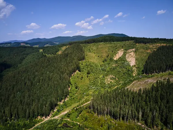 Baharda dağ toprak yolu ve ormanın havadan görünüşü, Karpat dağları, Ukrayna, yeşil çimenler ve ağaçlarla kaplı tepeli renkli manzara, doğa arka planı.
