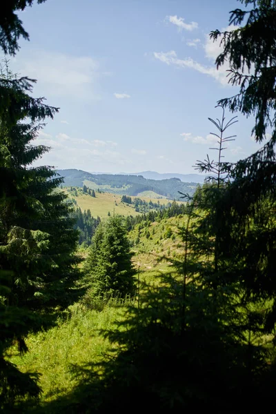 Gyönyörű Hegy Erdő Tavasszal Kárpátok Ukrajna Színes Táj Dombok Zöld — Stock Fotó