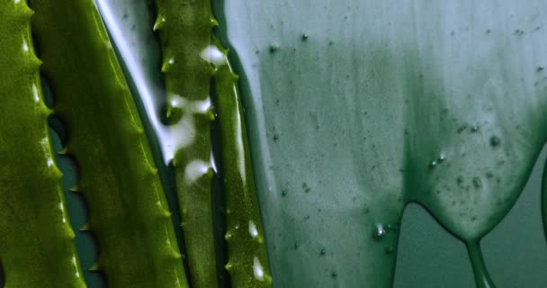 Alora Vera Leaf Juice Gel Runs Geen Background Natural Medical — Wideo stockowe