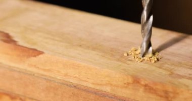 Tahtayı vidayla delmek yerine vida saplamak, metal matkap ucu tahta meşe kalaslarında delikler açar. Erkek marangoz eli delik açıyor..