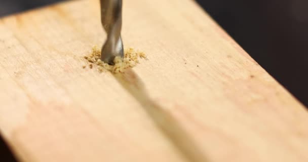 Close Drilling Wood Screw Twisted Place Metal Drill Bit Make — Vídeo de stock